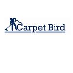 CarpetBird