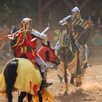 Carolina Renaissance Festival