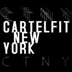 Cartelfit