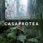 CASA PROTEA