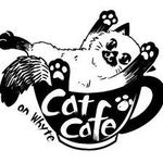 Cat Cafe on Whyte