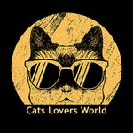 Cats Lovers World