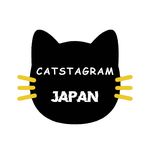 catstagram_japan