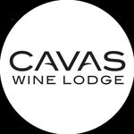 Cavas Wine Lodge Mendoza