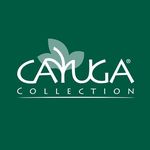 Cayuga Collection