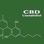 Cbd Outlet