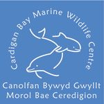 Cardigan Bay Marine Wildlife C