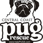 Central Coast Pug Rescue