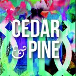 Cedar & Pine Bar