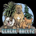 Cencal Bullyz™️