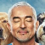 Cesar Millan Cesar Millan