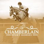 Chamberlain Sport horses