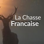 Chasse Française 🇫🇷