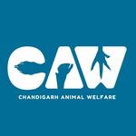 Chandigarh Animal Welfare