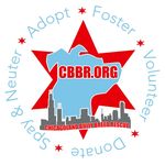 Chicagoland Bully Breed Rescue