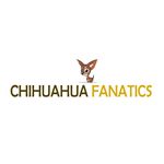 Chihuahua Fanatics