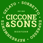 Ciccone & Sons