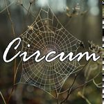 🌻 Circum ArteStore🍂