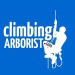 Climbing Arborist