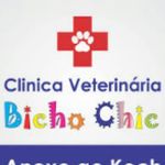 Cliníca Veterinária Bicho Chic