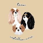 CASTELLUM MARE CAVALIERS