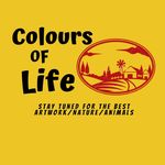 Colours Of Life
