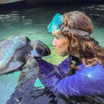 Alexandra | Conservationist 🌊🐢