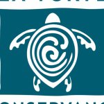 Sea Turtle Conservancy