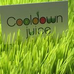 Cooldown Juice