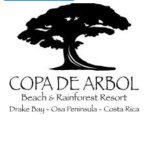 Copa de Arbol