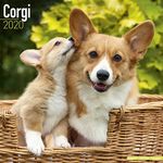 CORGI