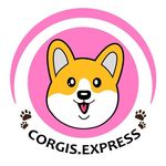 Corgis Express