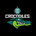 Coritiba Crocodiles Oficial