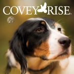 Covey Rise