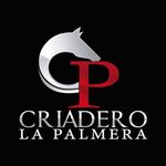 CriaderoLaPalmeraAntioquia