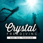 Crystal Freediving | Koh Tao