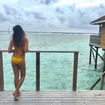 Daisy Callejo Daisy Callejo