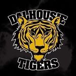 Dalhousie Tigers