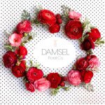 Damsel Floral / Kaci Muller