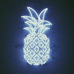 Dancing Pineapple