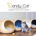 Cat Furniture | Dandy Cat