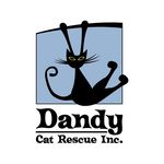 Dandy Cat Rescue Inc