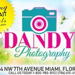 Dandy Photography LLC