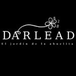 Darlead 🌸