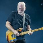 David Gilmour Iranian Fans