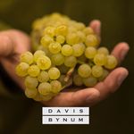 Davis Bynum Winery