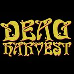 Dead Harvest