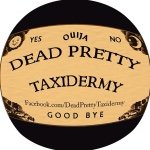 🌹💀Dead Pretty Taxidermy💀🌹