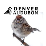 Denver Audubon