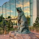 Denver Museum Nature & Science